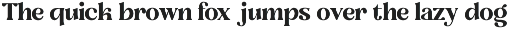 Seravim - Modern Bold Serif Font preview