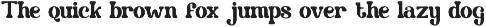 Toasty Curve - Christmas Font font preview