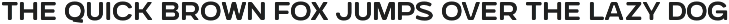 Gunterz Rounded preview