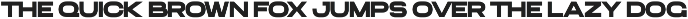 GC EPIC PRO - Future Extended Sans preview
