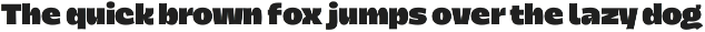 Dingos | Wide Compact Display Sans preview