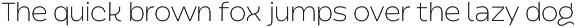 Dingos | Wide Compact Display Sans preview