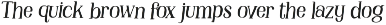 Owlie - Storybook Font font preview
