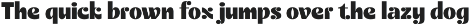 CS Evora – Bold Font preview