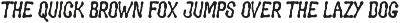 Groovy Liquor preview