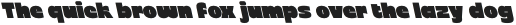 CS Culver Reverse Italic otf (400) Sample