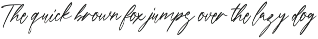 Neralety Handwritten Script Font preview