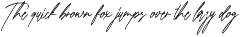 Renastica Modern Script Font preview