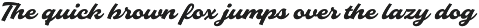 Slideback | Bold & Stylish Script preview