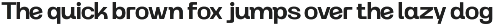 Modern Family Sans Serif - Rogta preview