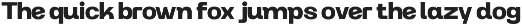 Modern Family Sans Serif - Rogta preview