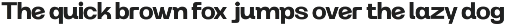 Modern Family Sans Serif - Rogta preview