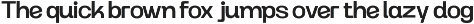 Modern Family Sans Serif - Rogta preview
