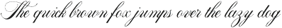 Moleira Font Collection preview