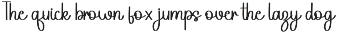Digital Signature preview