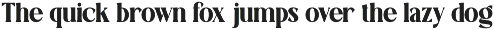 TT Montero Serif Condensed preview