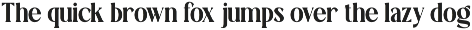 TT Montero Serif Condensed preview