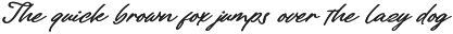 Paline Stylish Script Font preview