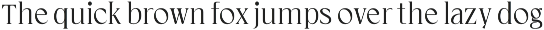 Cardival – Modern Luxury Bold Serif preview