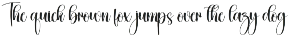Sunlight | Script Font preview