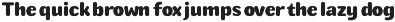 Udogi Sans - A Clean and Versatile preview