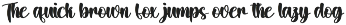 Home Stay | Script Font preview