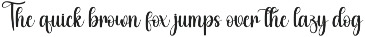Goodday | Script Font font preview