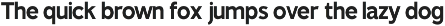 TT Rustic Grotesque Sans preview