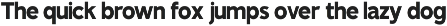 TT Rustic Grotesque Sans preview