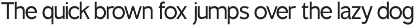 TT Rustic Grotesque Sans preview