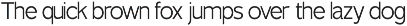 TT Rustic Grotesque Sans preview