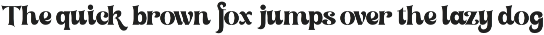Setilver - Retro Swash Font preview