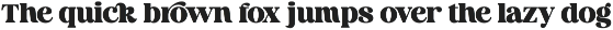 Royal Tomato – Display Retro Serif F font preview