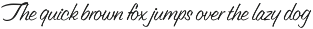Signboard Script Retro Script Font preview