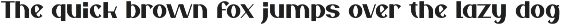 Nesyta Rafode - Stylish Retro Font preview