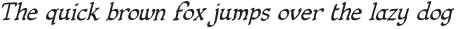 CCFiddlefaddle Light Italic otf (300) Sample