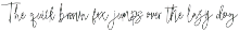 Dunkerlest Signature preview