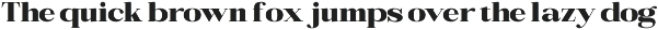Bigsmile Serif Family preview