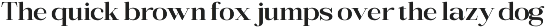 Bigsmile Serif Family preview