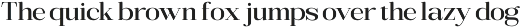 Bigsmile Serif Family preview