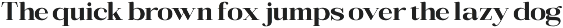 Bigsmile Serif Family preview