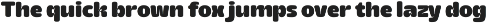 Rantaro Grotesk - Bold Font preview