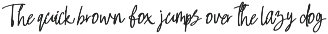 Midnight | Modern Signature Font preview