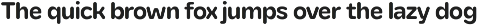 YNF Orion | Rounded sans serif preview