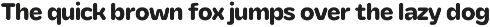 YNF Orion | Rounded sans serif preview