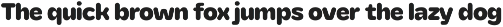 YNF Orion | Rounded sans serif preview