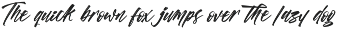 Vichellen Jordan Modern Brush Font preview