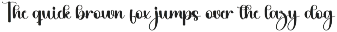 Amellia preview
