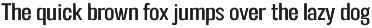 FT Neue Buddy - 5 Styles Sans Serif preview