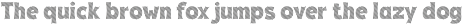 Fox Thunder : 4 Font Styles preview